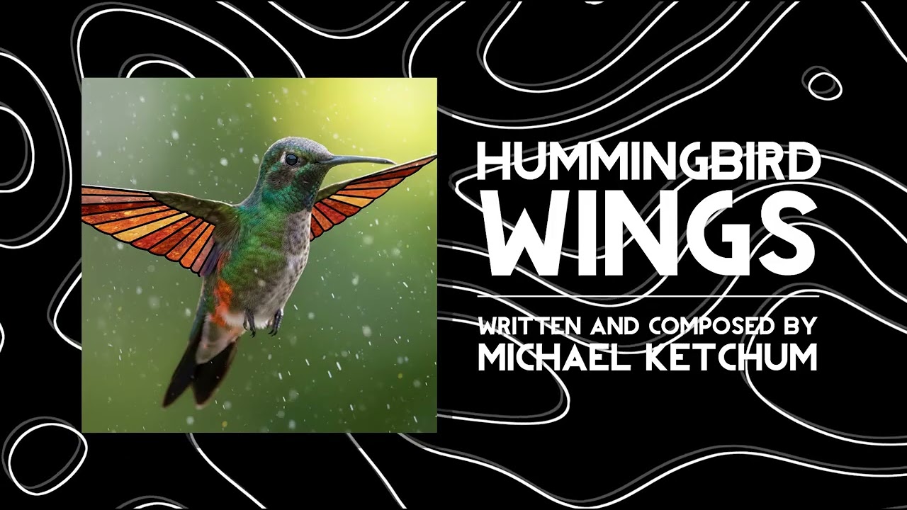 Hummingbird Wings