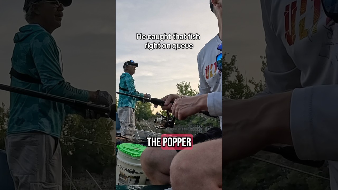 Switches to topwater after 14 fish lol #fishing #outdoors #topwater #justfishing #fishingaddict
