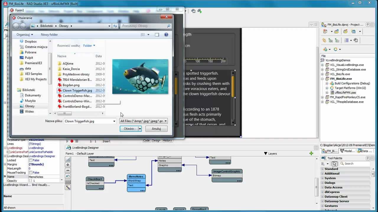 Visual LiveBindings 2 - Aplikacje bazodanowe