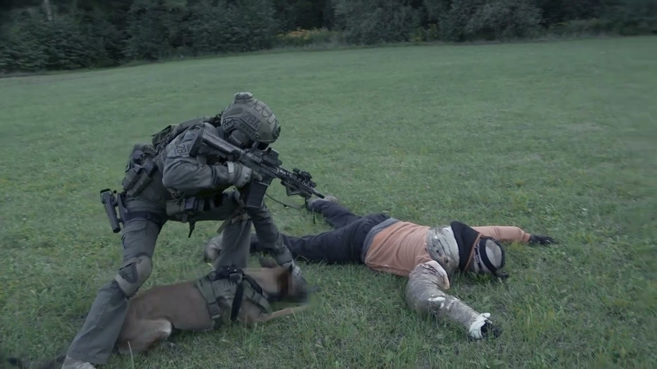 Owczarek belgijski Malinois w służbie Zakładu Pola Walki i Ratownictwa.Odc.2. Malinois. Part 2