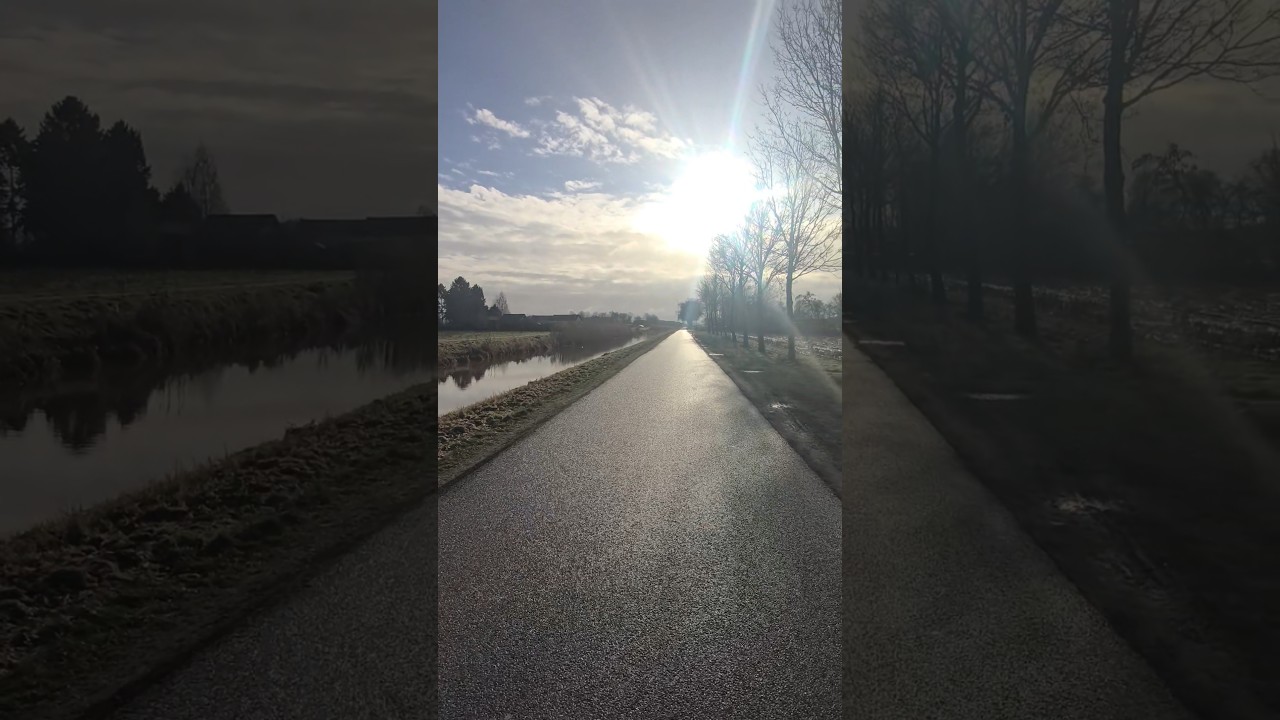 Yesterday snow❄️ today sun☀️🏖️🫶🏼#nature #sun #dog #walking