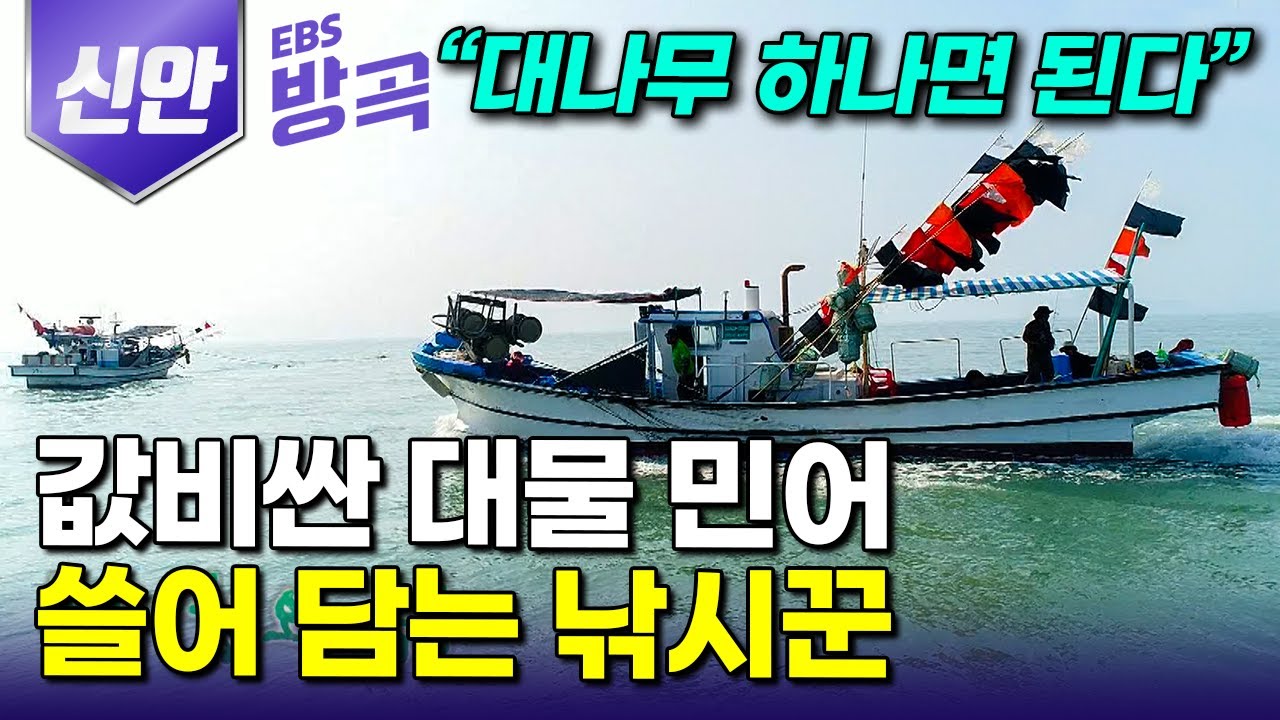 [전남 신안] 