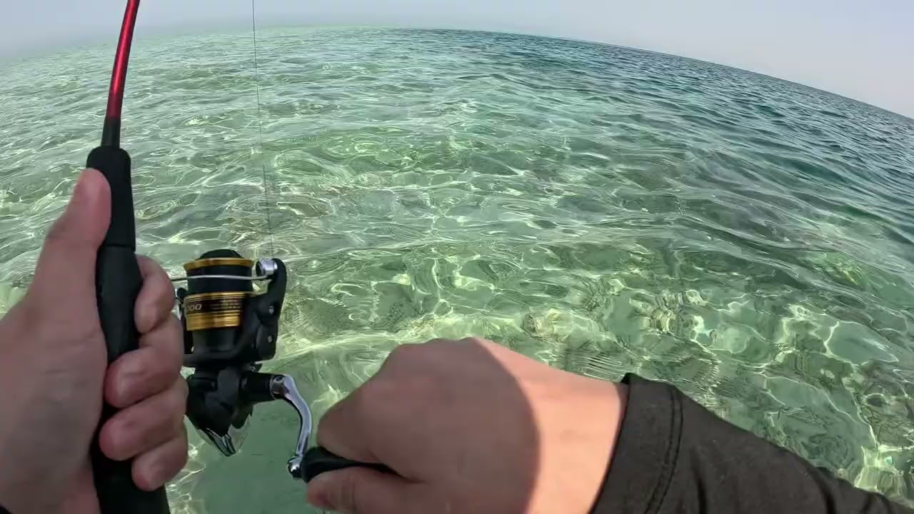 Fish ON