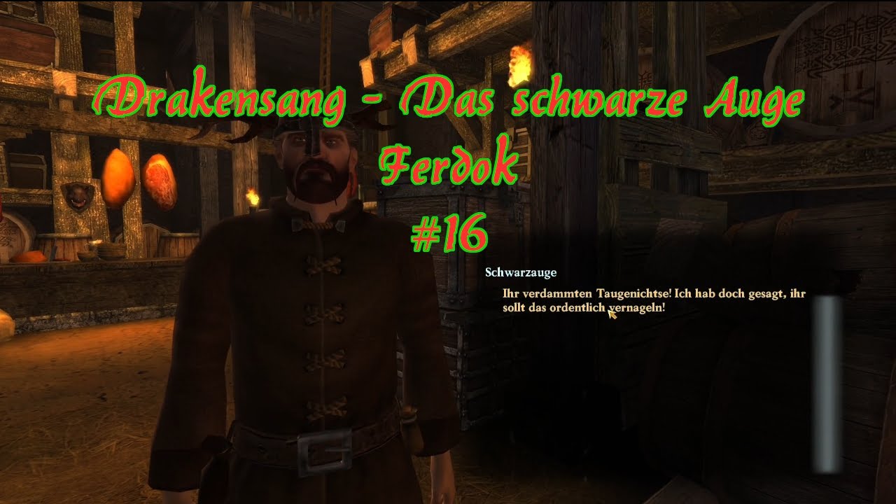 #16 Drakensang - Das schwarze Auge - Diebe bedieben oder wie das heißt...