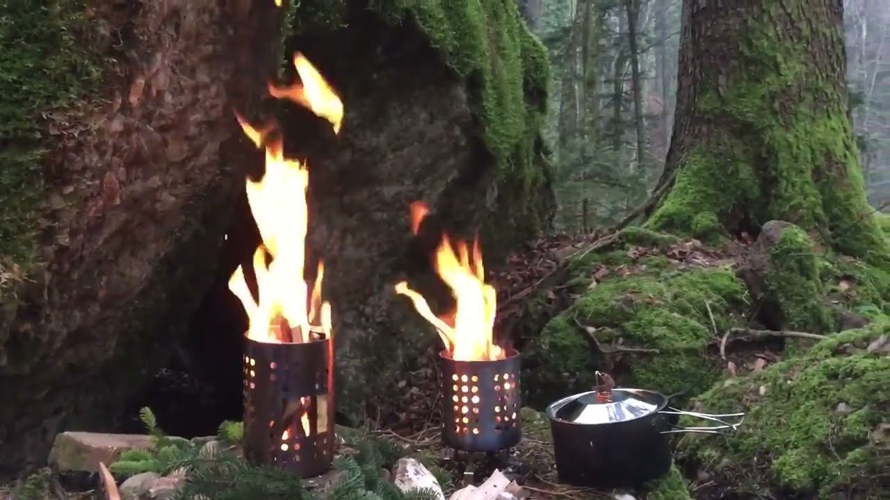 🔥 Another Day in the Woods - 