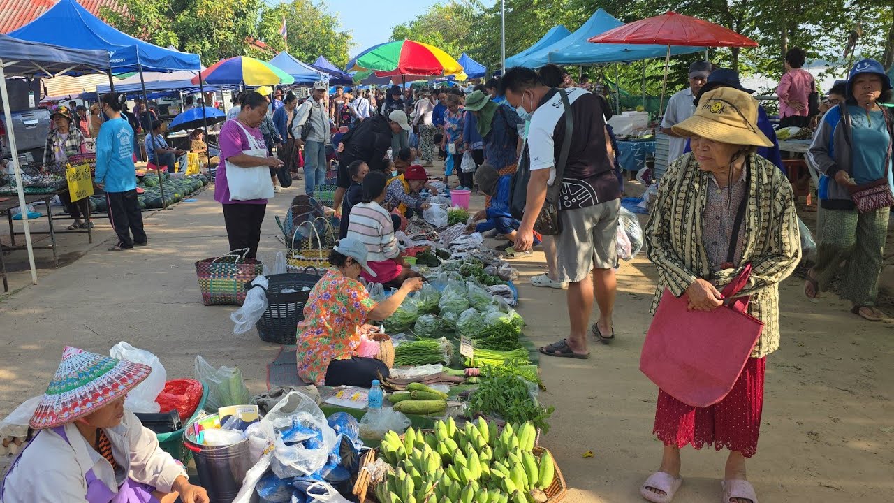 ตลาดนัดไทย-ลาว บ้านหนาด จ.นครพนม ปูแดง รังผึ้ง กบเขียด ของป่าลาว หลายคัก 