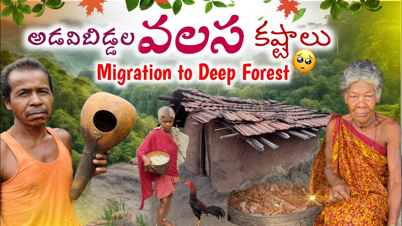 Tribal Migration Village : అందమైన అడవిగూడెంలో వలసబిడ్డల బ్రతుకు బాధలు @TribalMirror 