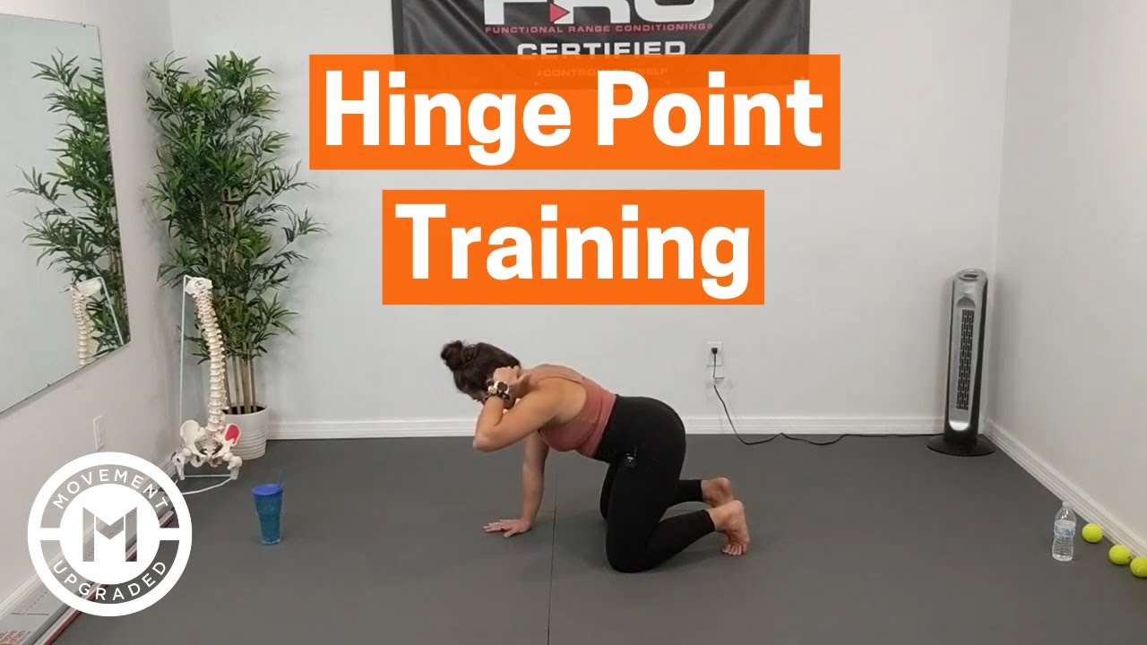 Hinge Point Training (Spine Segmentation)