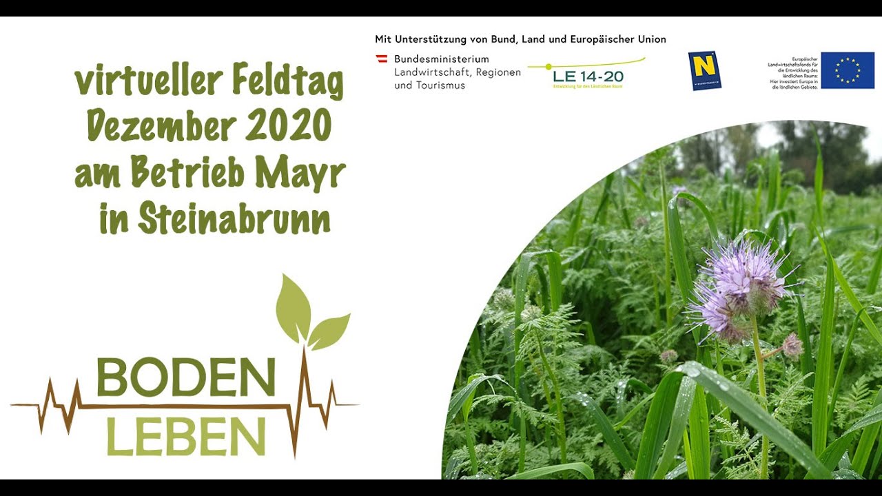 virtueller Feldtag Dezember 2020 am Betrieb Mayr in Steinabrunn