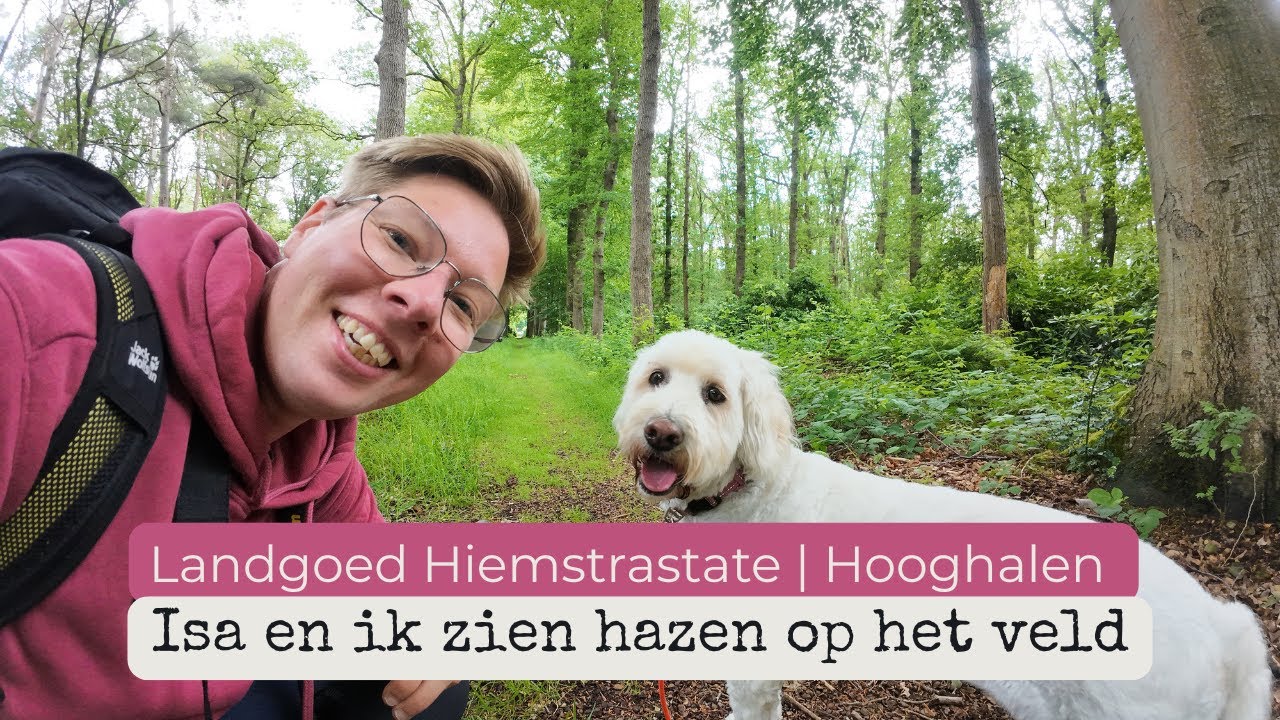 Wandelen met Labradoodle Isa op Landgoed Hiemstrastate in Hooghalen (Drenthe)