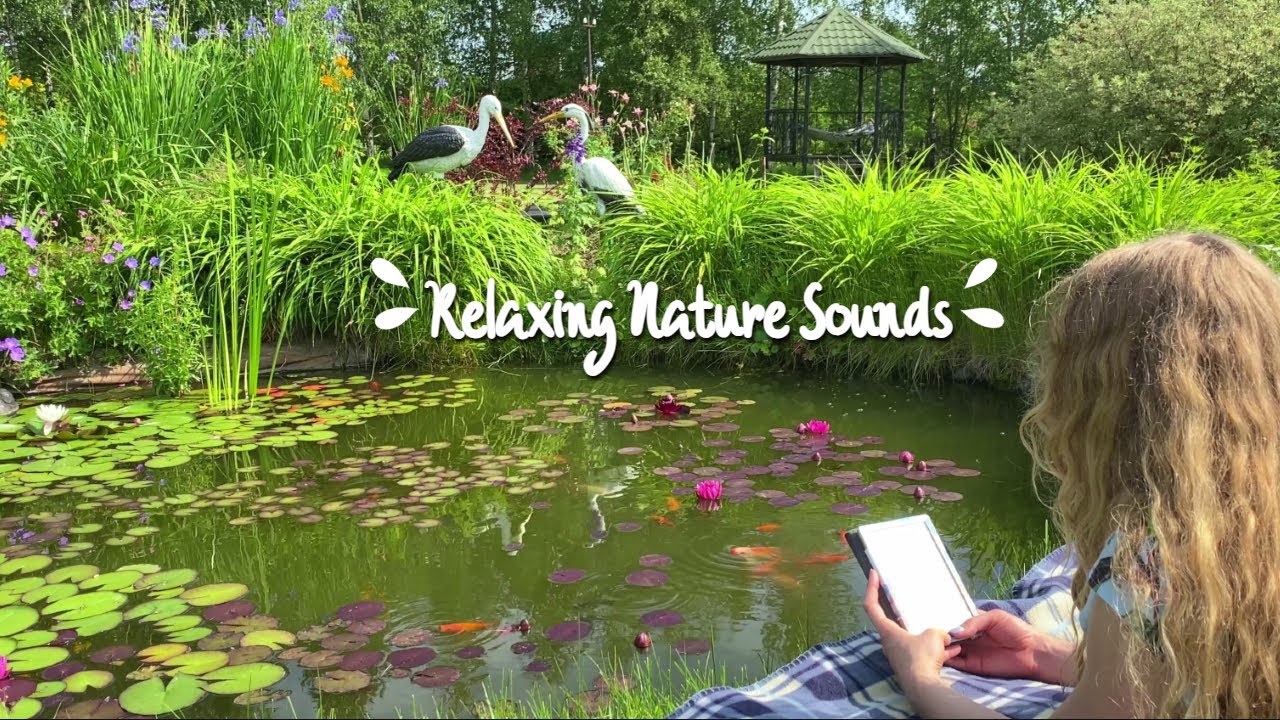READ WITH ME | RELAXING NATURE SOUNDS 🌿