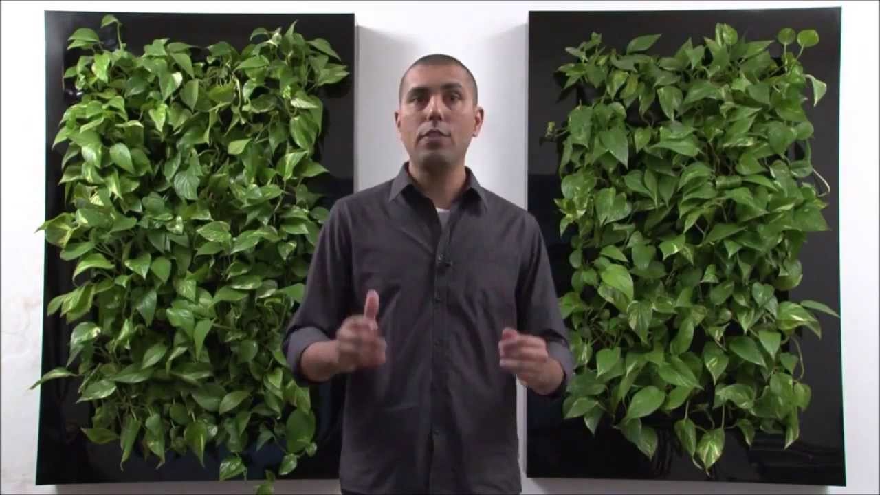 O Jardim vertical traz o bom ar para dentro da sua casa