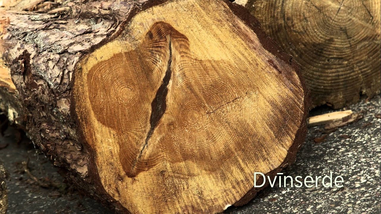 Kokmateriālu kvalitāte