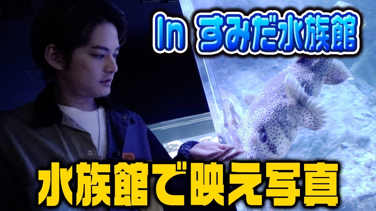 【魚は友達】すみだ水族館で映える写真を撮る【中山優馬】