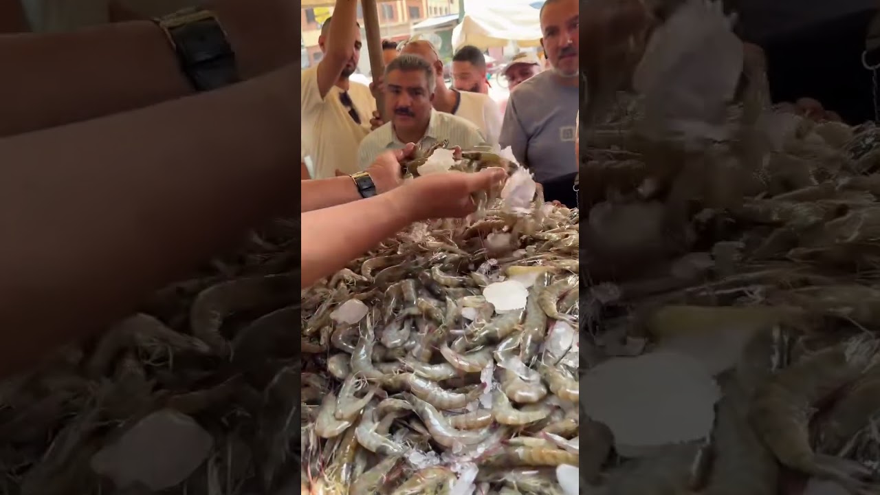 🦐🦀 التجار واقفين ضدي.. بس قدرت أجيبلكم جمبري 65ج وكابوريا 20ج!