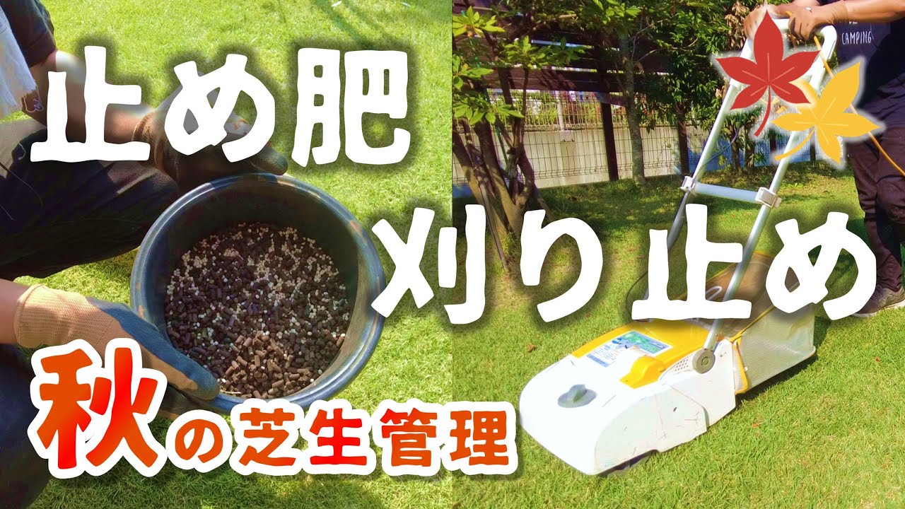 【秋の芝生管理】