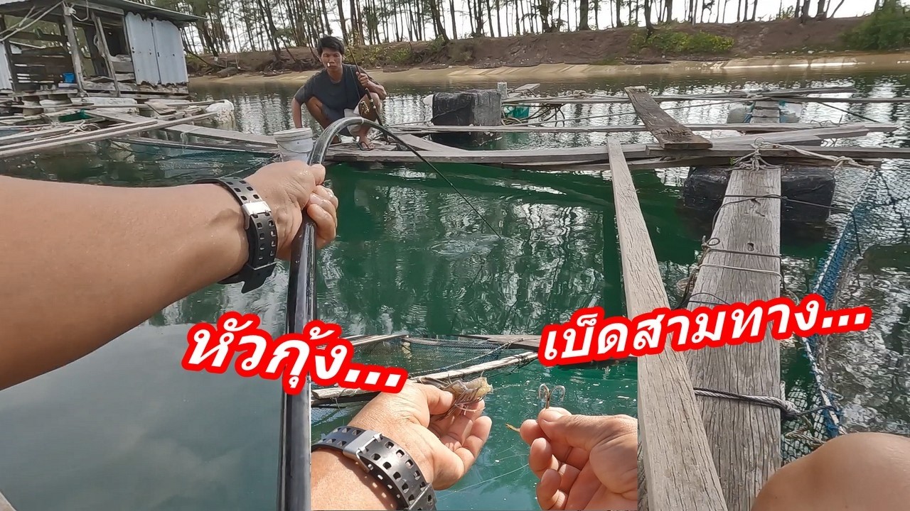 ตกปลาด้วยเบ็ด 3 ทางกับหัวกุ้ง