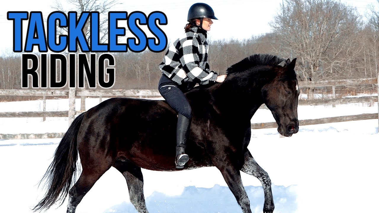 RIDING MY HORSE TACKLESS | In The Snow