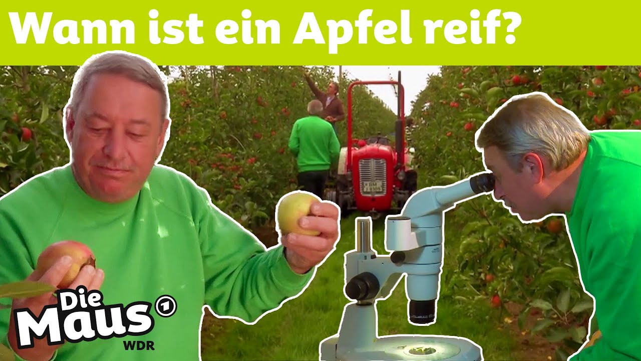 Das Geheimnis im Apfelstiel | DieMaus | WDR