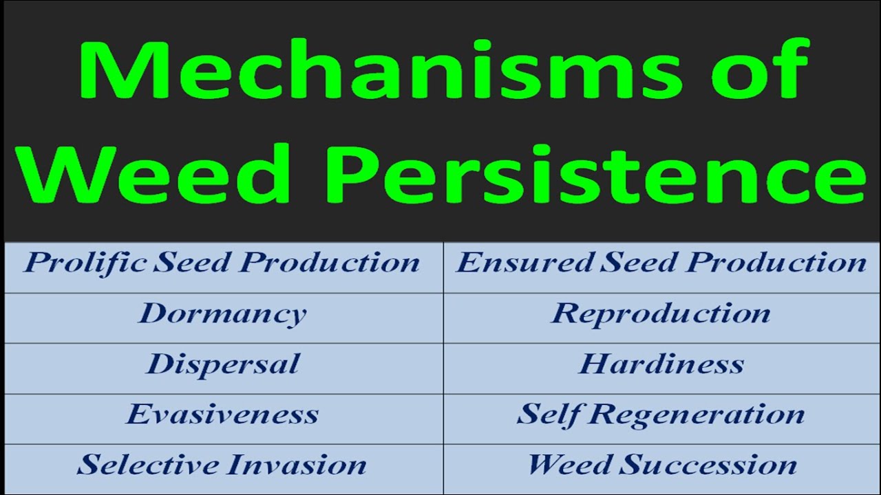 Mechanisms of Weed Persistence