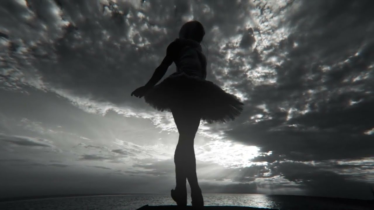 Francisco Mañalich - Sur Flamingo
