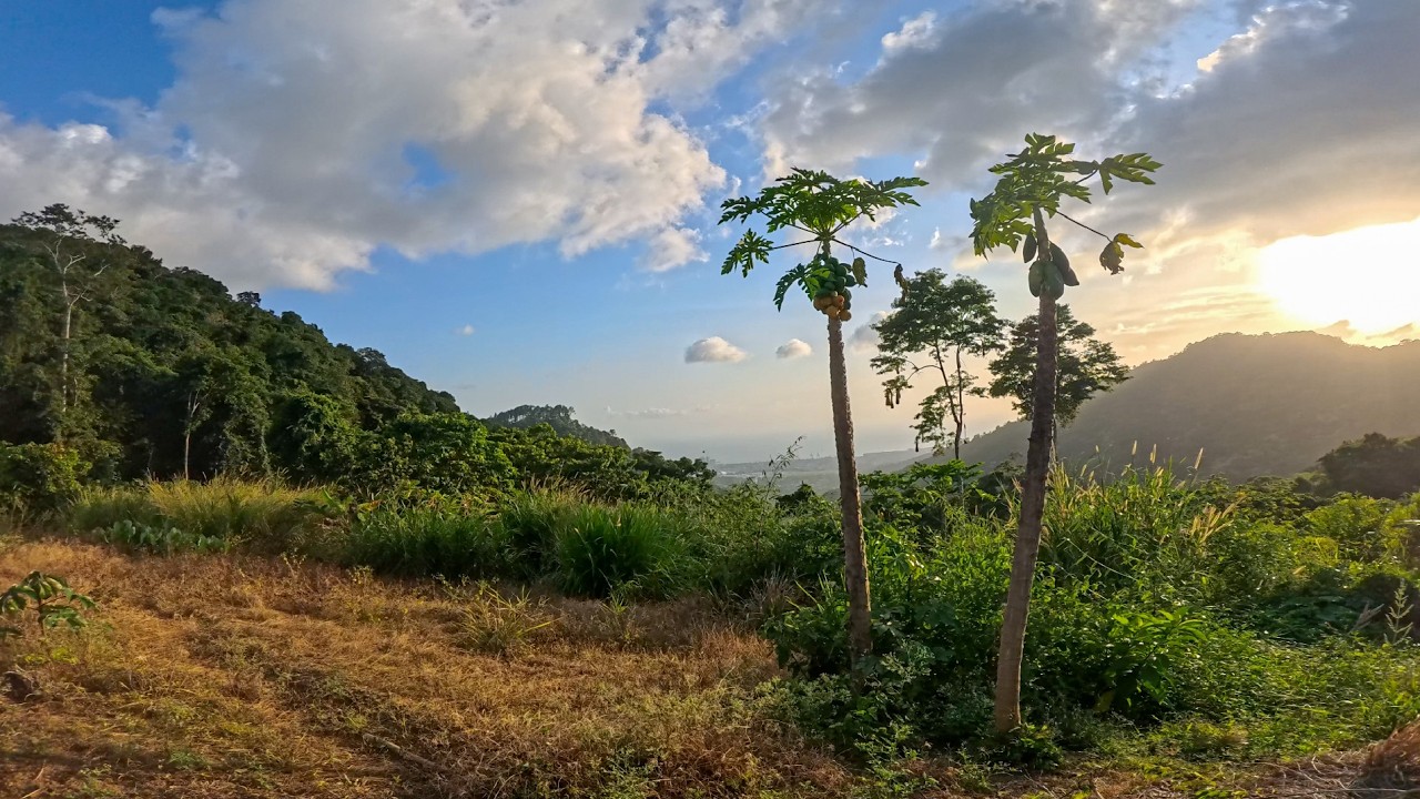 Easy Nature Walk: See Top Views, Lady Chancellor to Mt. Hololo