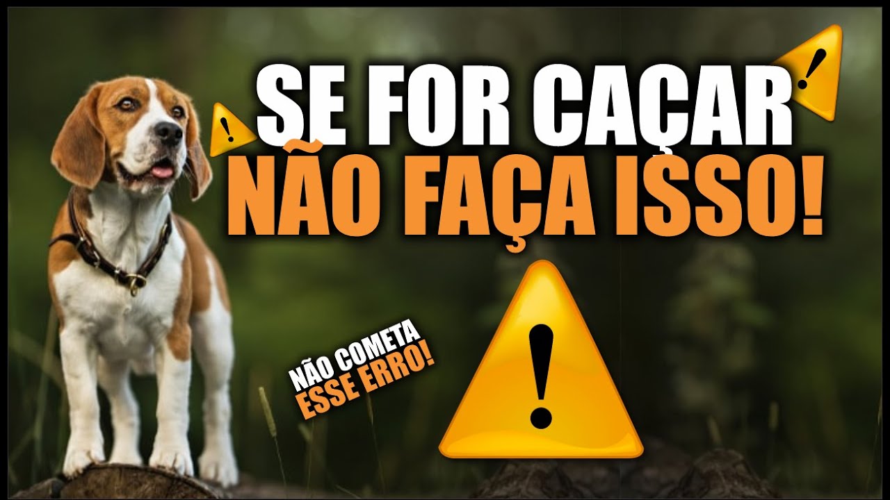 N&atilde;o Fa&ccedil;a Isso Se Voc&ecirc; For Ca&ccedil;ar - 5 Erros Antes De Sair Pra Ca&ccedil;ar