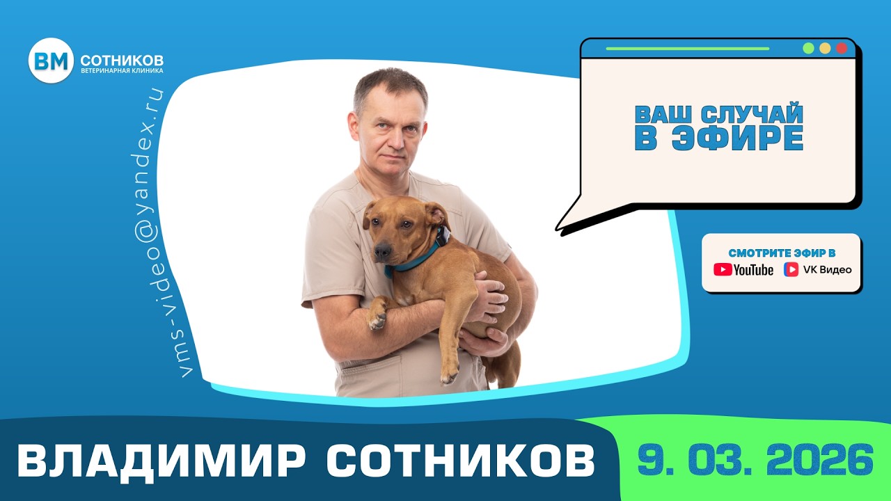 Ваш случай в эфире. Выпуск от 9.03.2026