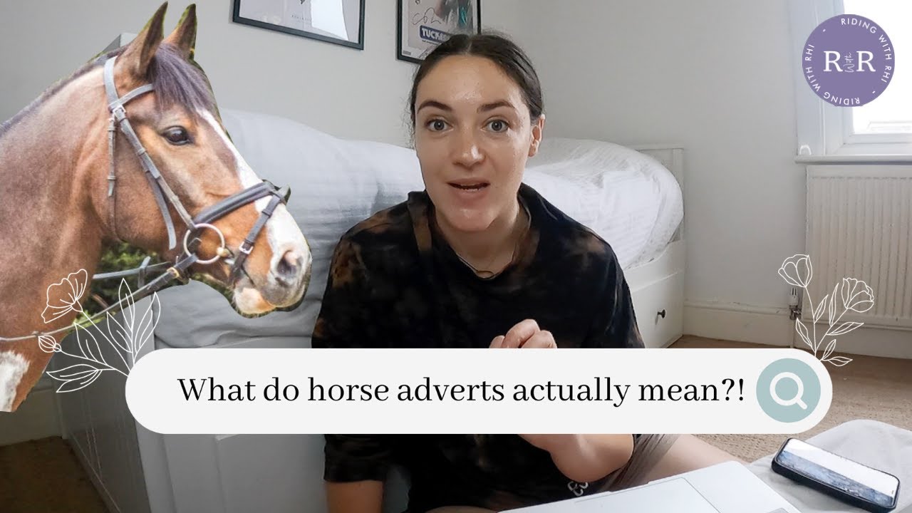 27 Horse Terms Explained From For Sale Adverts  (And What They Actually Mean!) | Riding With Rhi