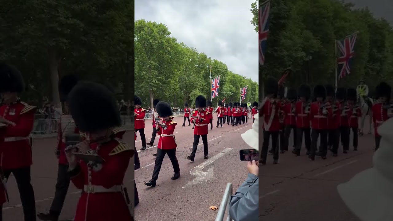 Royal Guards Marching 💂