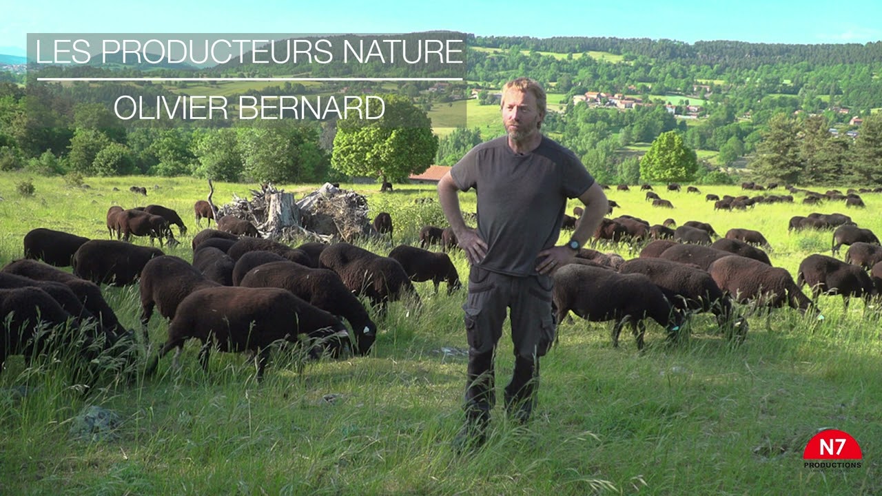 Les producteurs nature: entretien avec Olivier Bernard, éleveur de brebis noires du Velay
