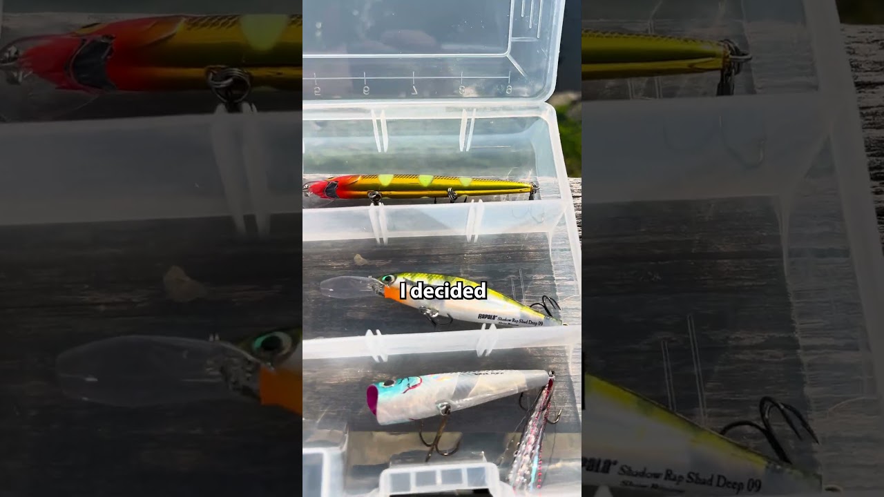Собираем идеальный стартовый набор снастей 🎣
