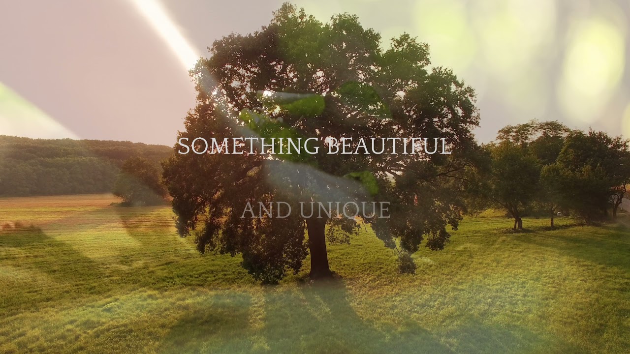 EVERTREE | Let your memories grow