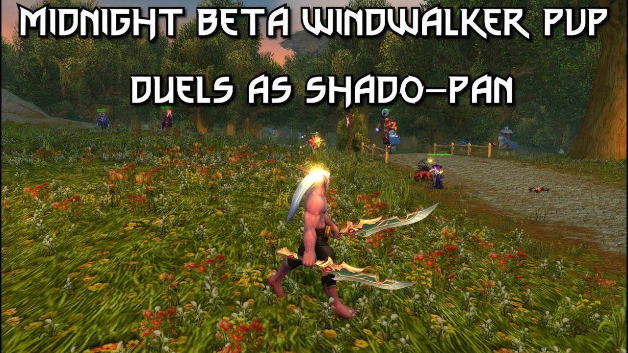 Midnight Beta Windwalker PvP || Testing Out Shado-Pan