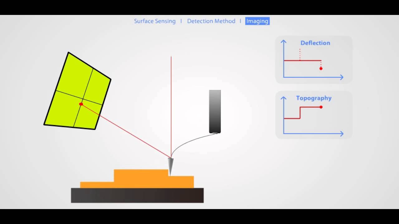 AFM Principle- Basic Training