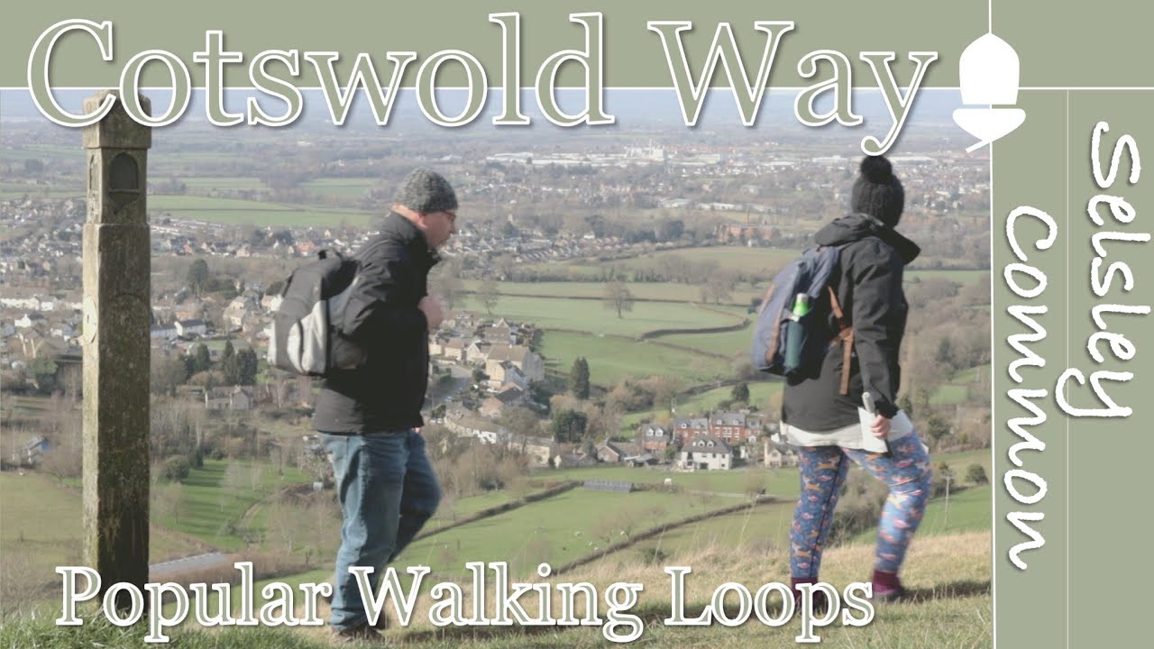 Cotswold Way Walks | Selsley Circuit
