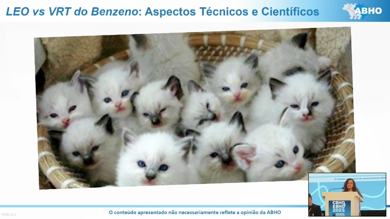 LEO x VRT do Benzeno: aspectos técnicos e científicos