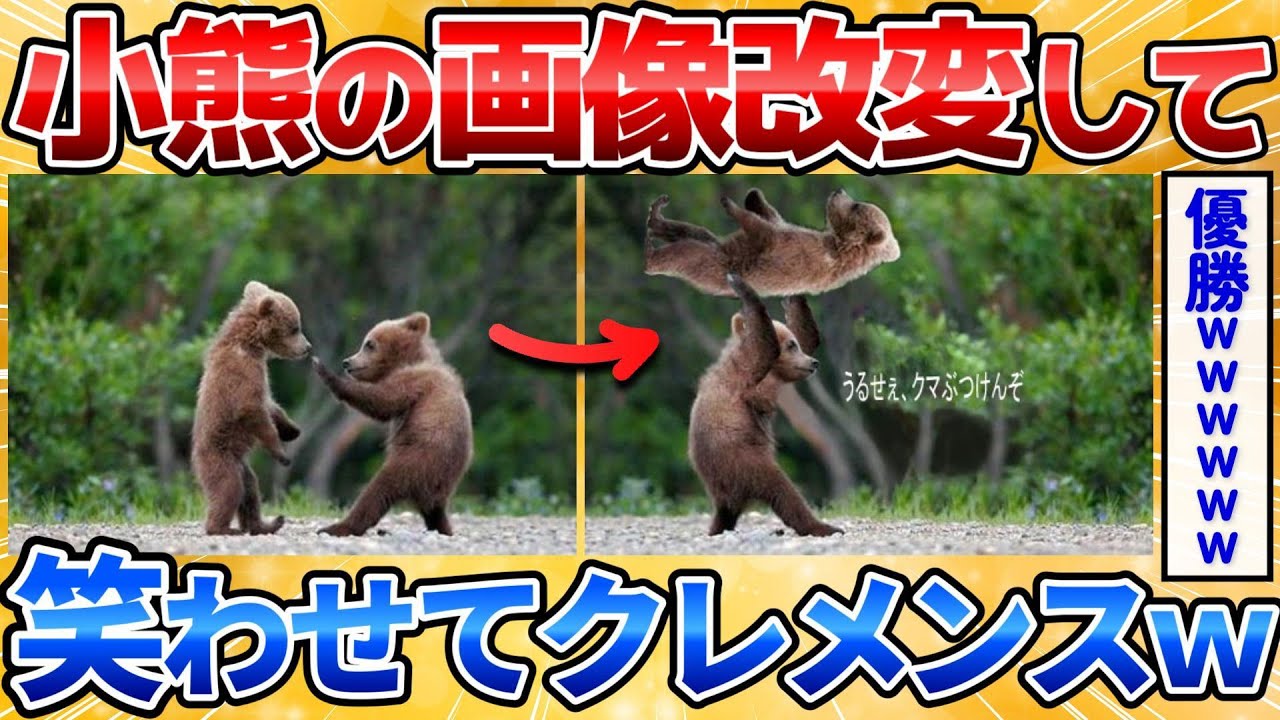 【2ch面白いスレ】子熊の画像を様々な角度から改変して一番笑わせたやつ優勝ｗ【画像加工】