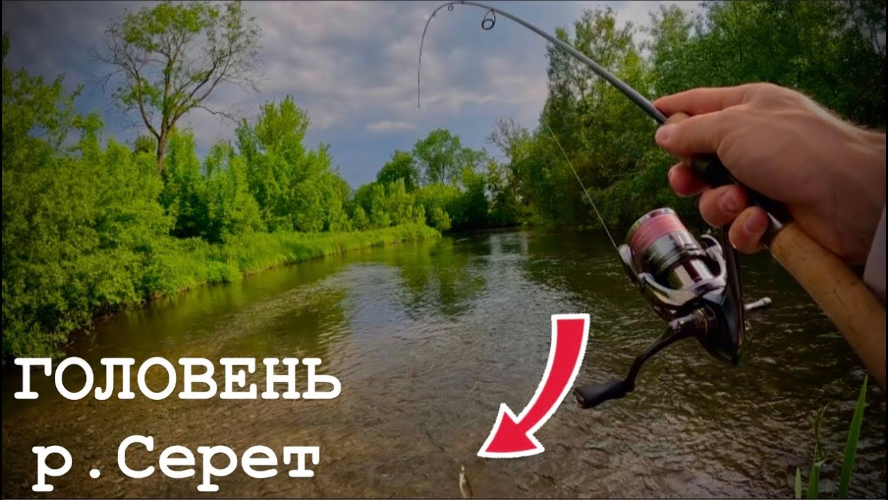 РИБАЛКА НА ГОЛОВНЯ р.СЕРЕТ|Shimano 24 Trout One NS S60UL