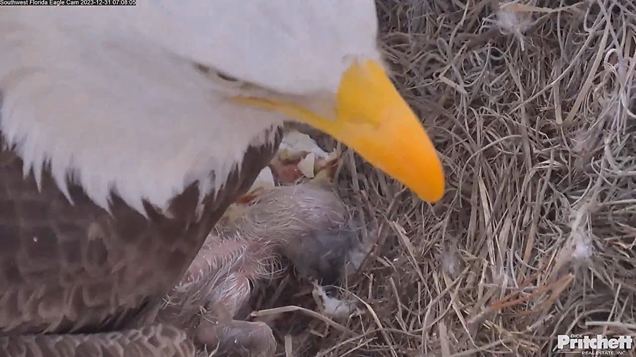 Welcome To The World, E23!