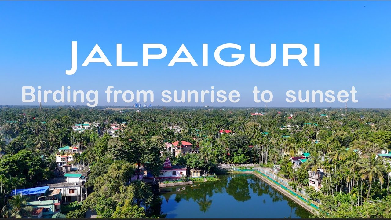 Birds of Jalpaiguri