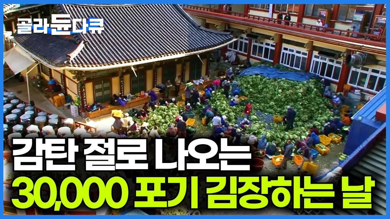 남녀노소 비신도들도 와서 돕는다. 4박 5일 구인사 김장하는 날｜한국기행｜#골라듄다큐