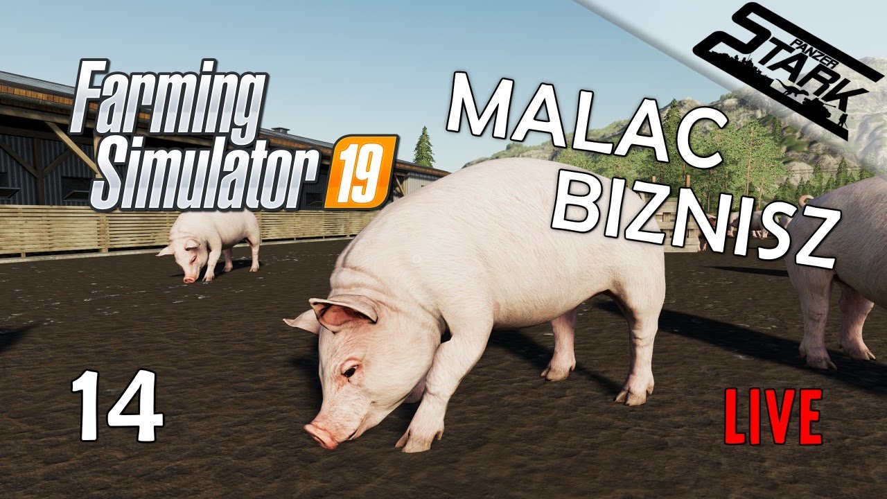 Farming Simulator 19 - 14.Rész (Veszünk Disznókat) - Stark LIVE