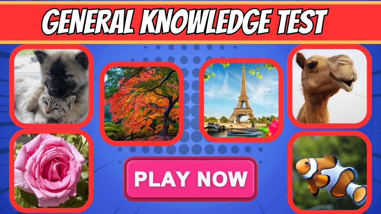General Knowledge Trivia Game Live | Fun Quiz Night Test Your IQ Now!