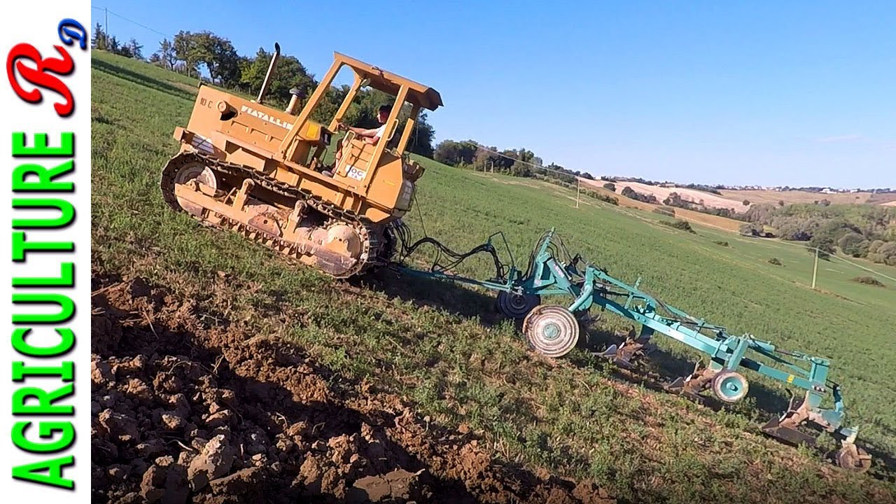 Aratura 2021- Fiat Allis 10C TA - Azienda Accattoli Cristiano