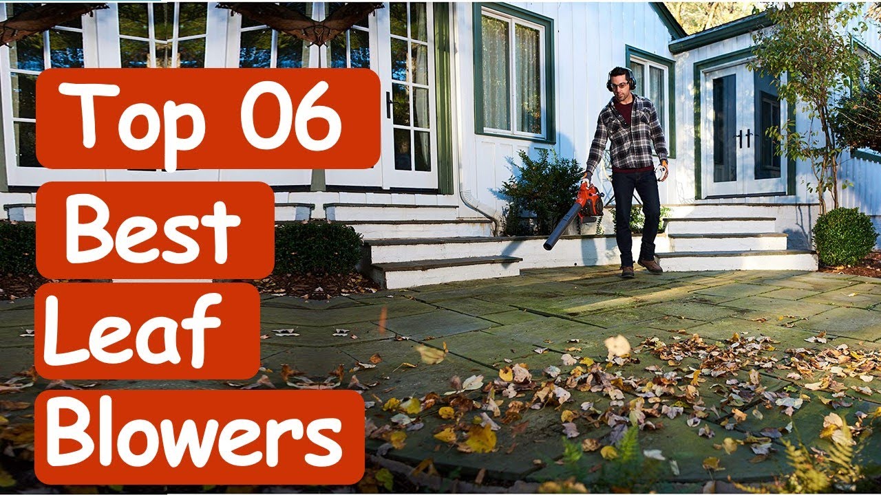 Best Leaf Blowers 2020  || Top 6 Best Leaf Blower Buying Guide