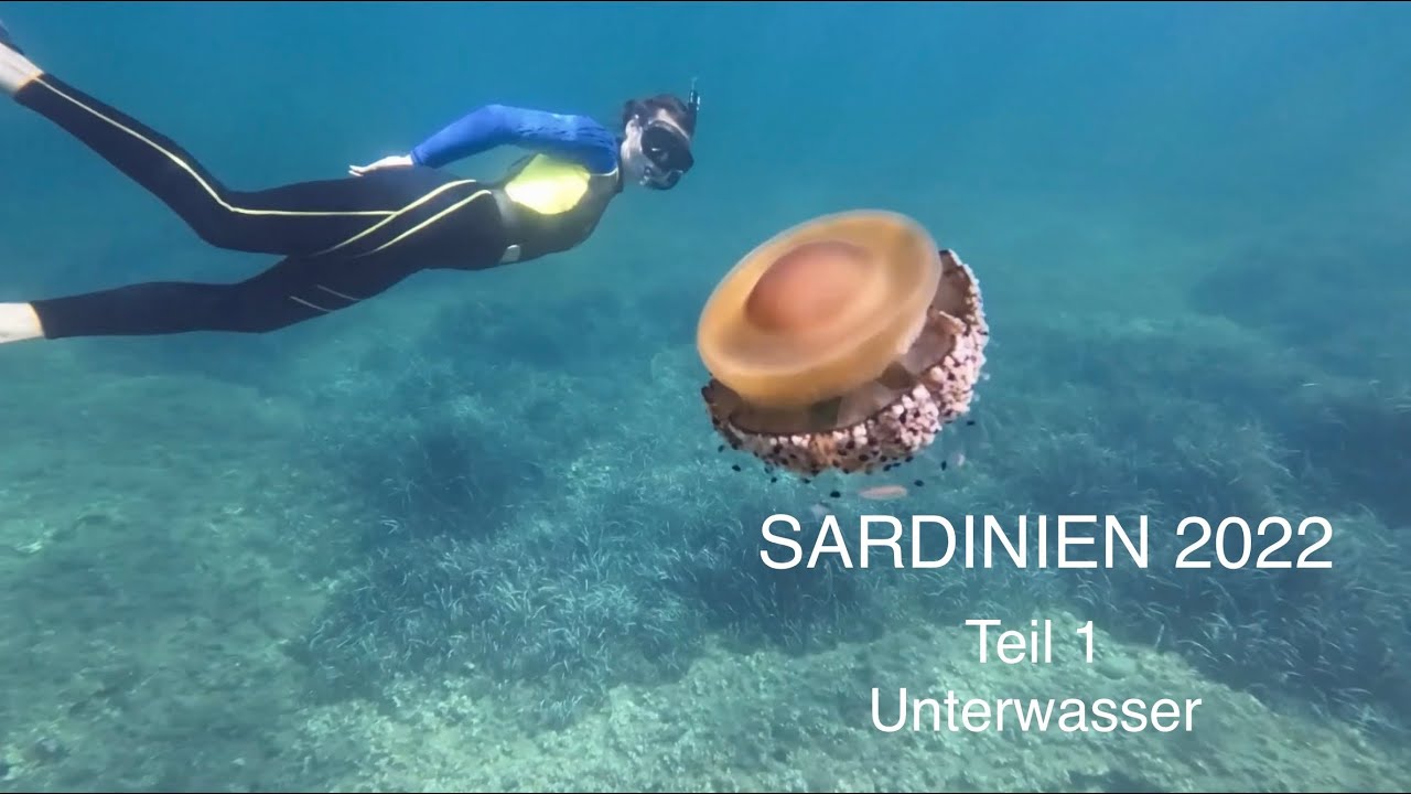 Sardinien 2022 - Teil 1 - Schnorcheln | Die Brinkmanns