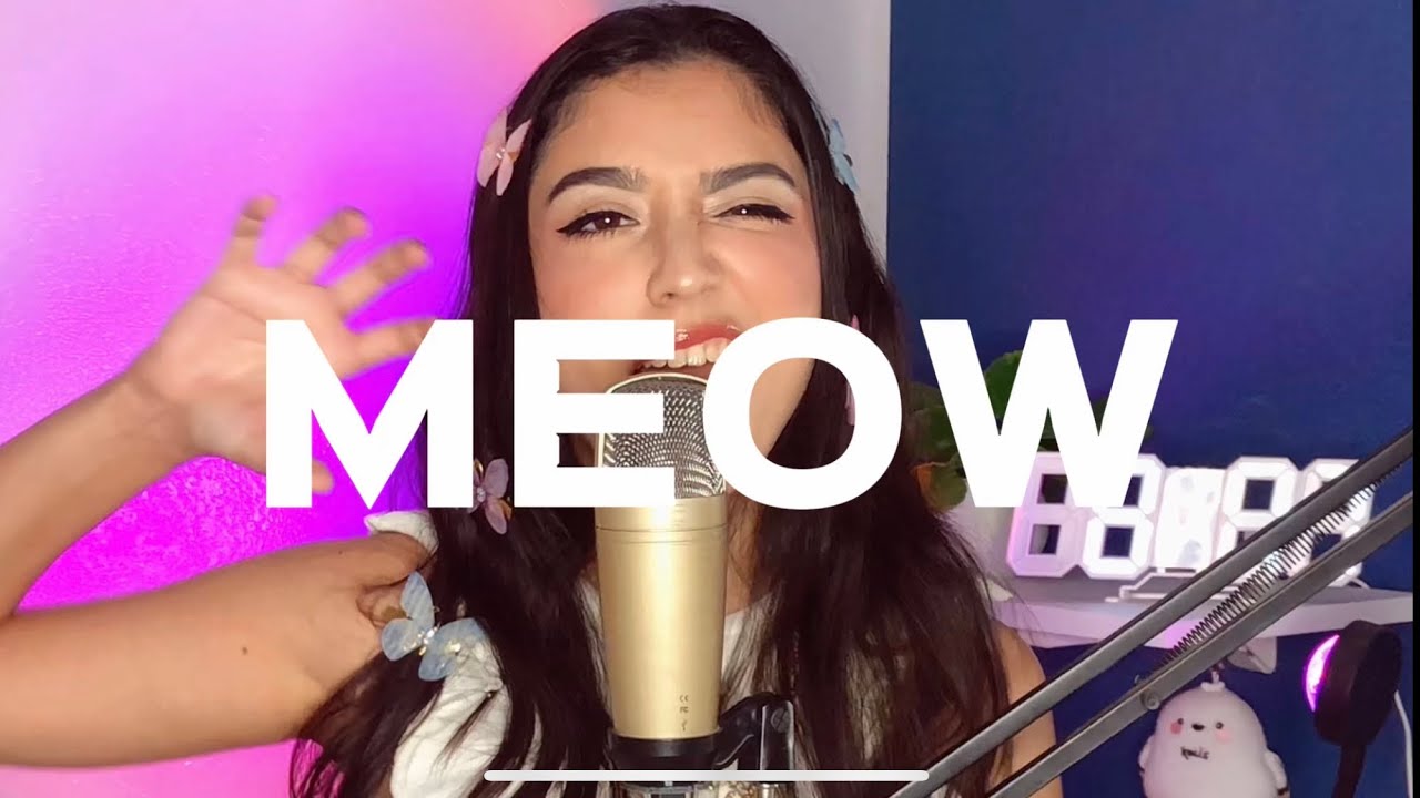 MEOVV - “ MEOW “ Cover ( By H!Dil )