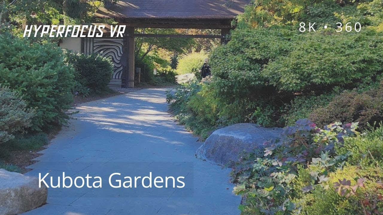 Seattle's Kubota Garden: A Peaceful 8K 360 Journey