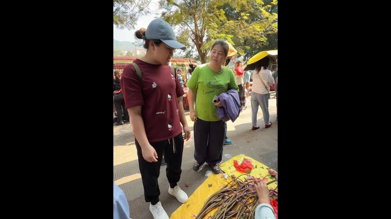 一直以来都想去的五指山赶集终于来了，跟着我们一起去看看吧